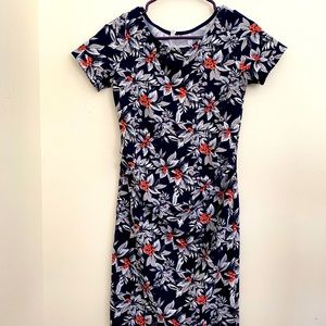 PinkBlush Maternity Dress